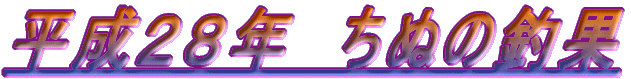 QQN@ʂ̒މ